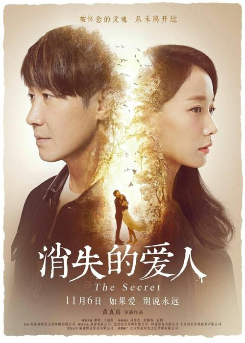 找人做仿真会考证明